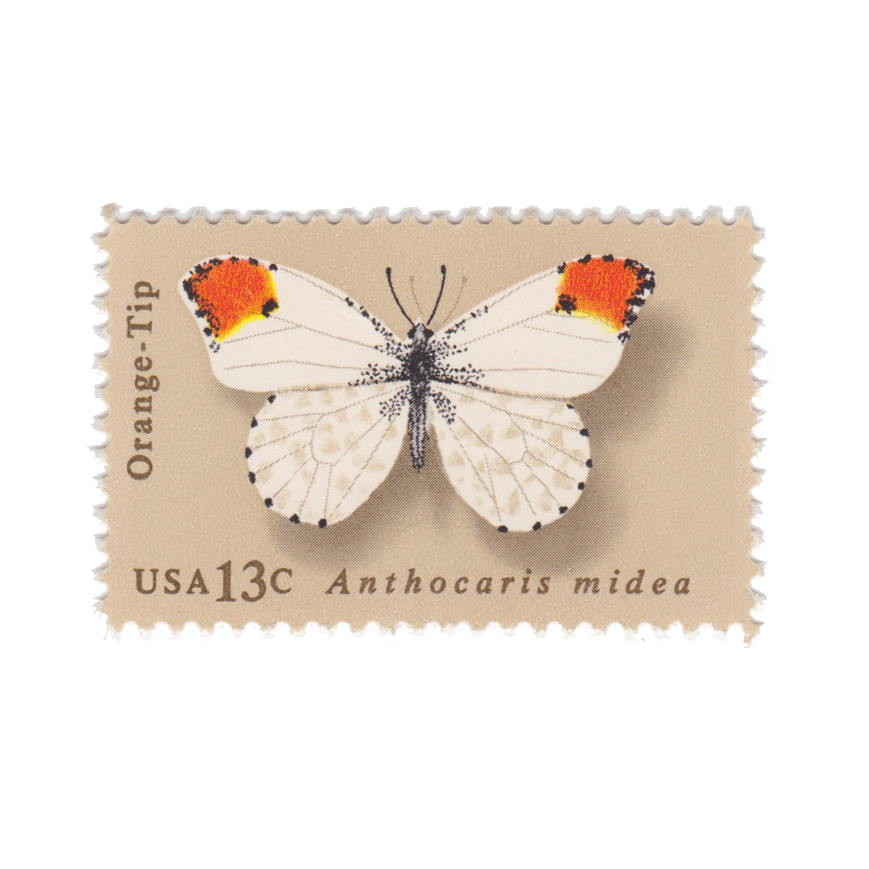 1977 13c Butterfly Series - Orange Tip