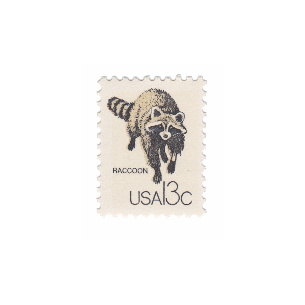 1978 13c Wildlife Series - Raccoon
