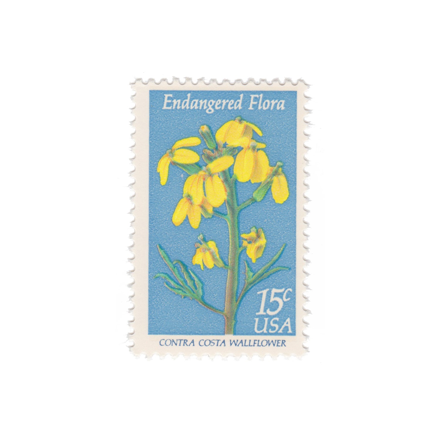 1979 15c Endangered Flora - Contra Costa Wallflower