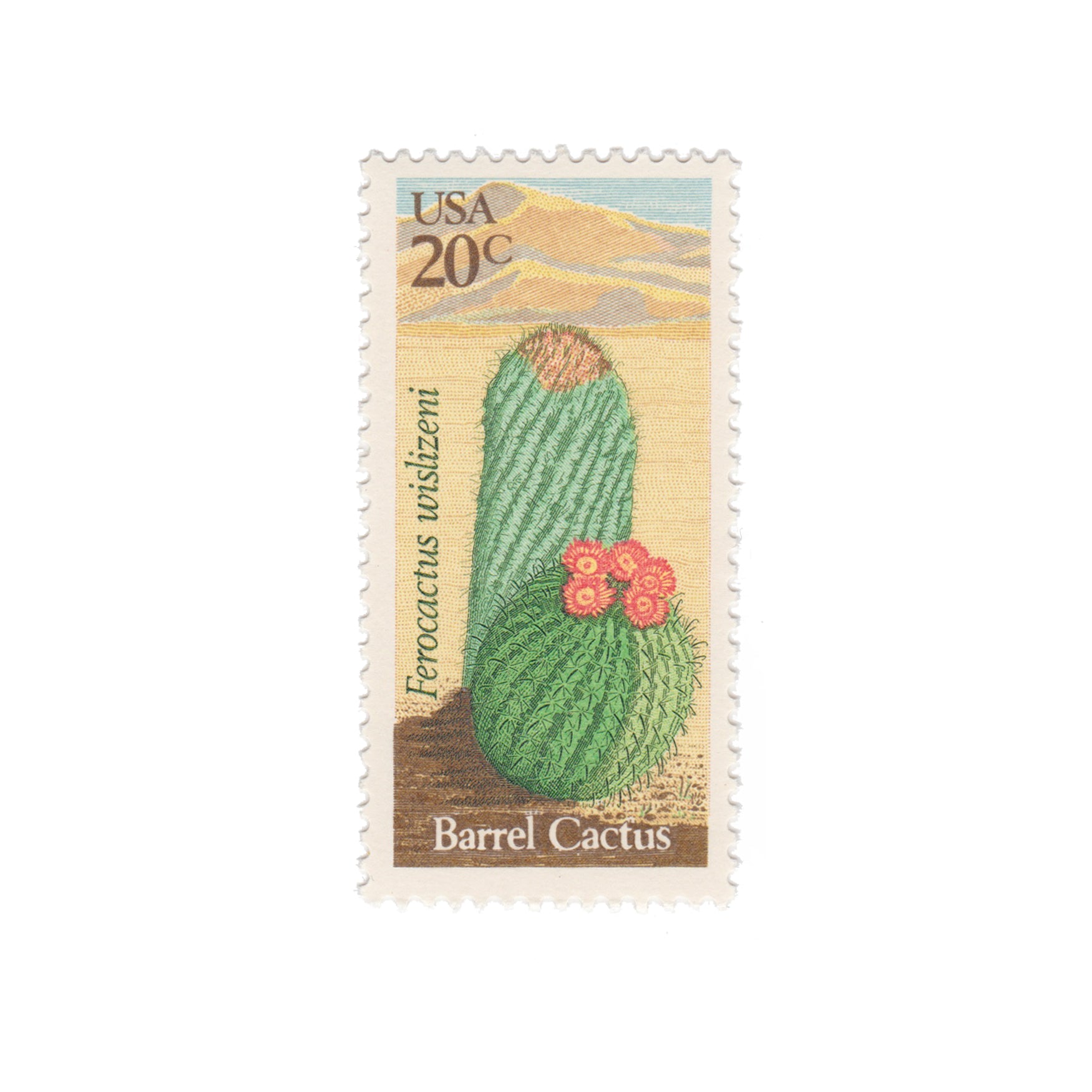 1981 20c Cactus Series - Barrel Cactus