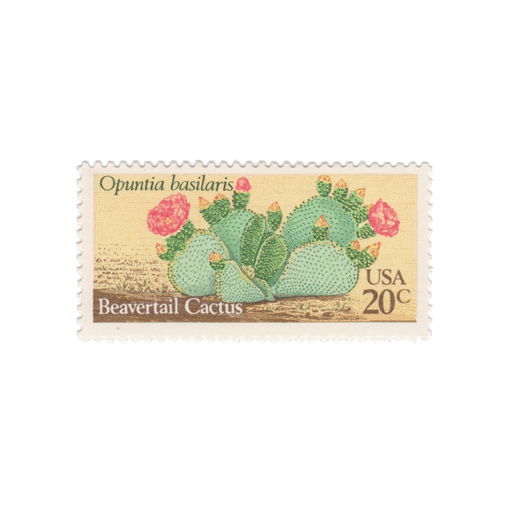 1981 20c Cactus Series - Beavertail Cactus