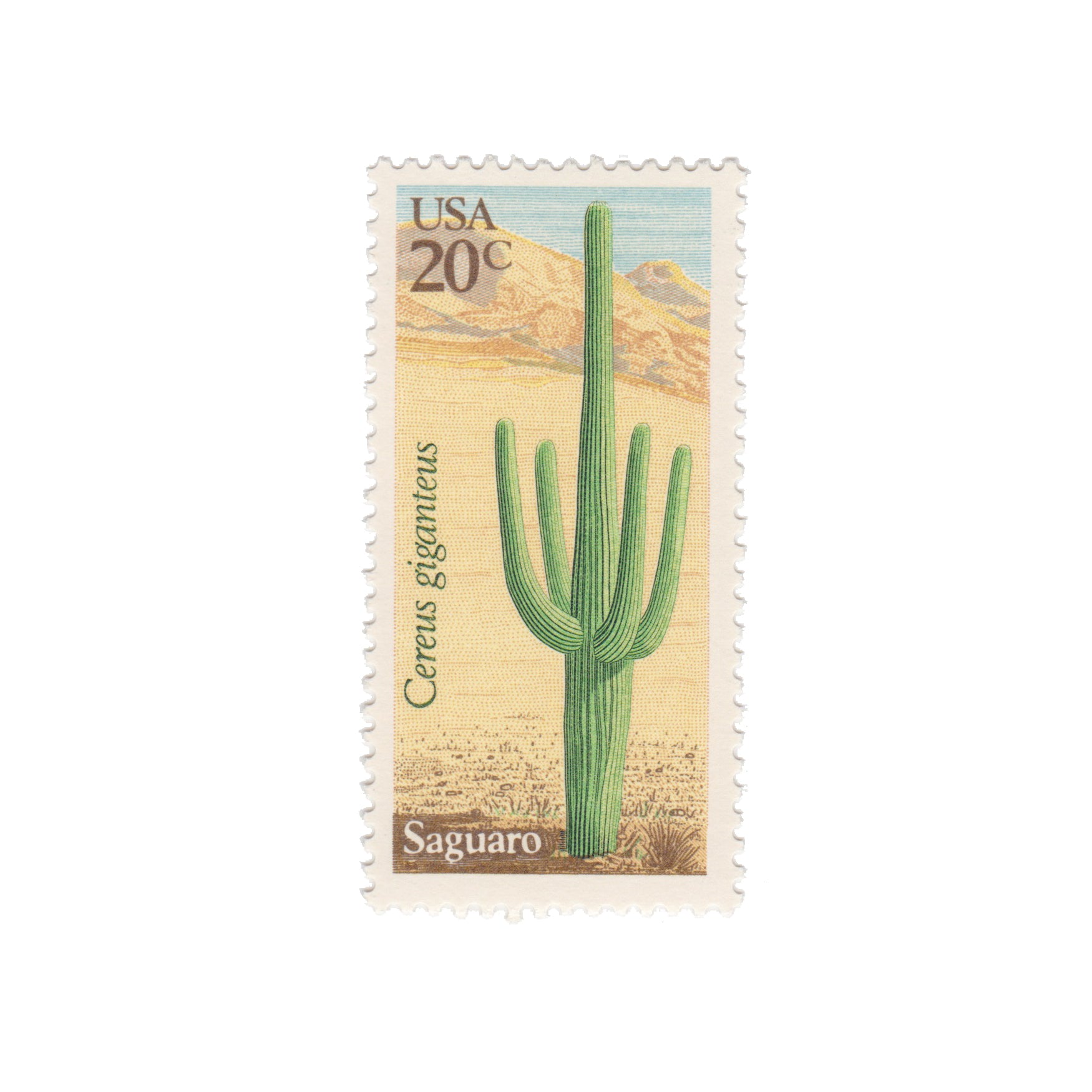 1981 20c Cactus Series - Saguaro
