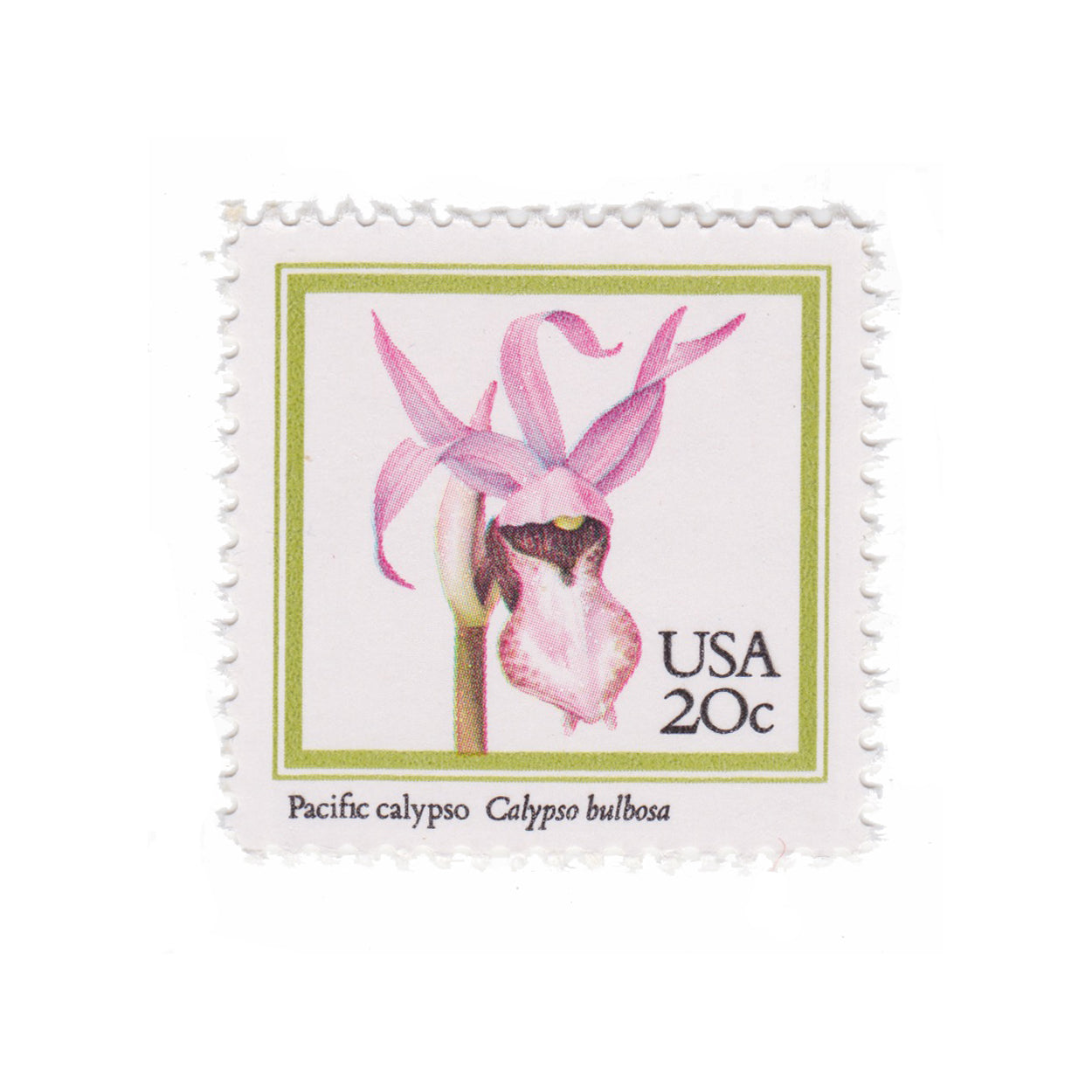 1984 20c Orchids - Pacific Calypso