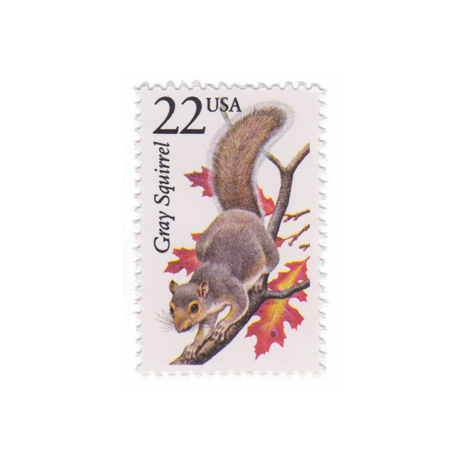 1987 22c Grey Squirrel