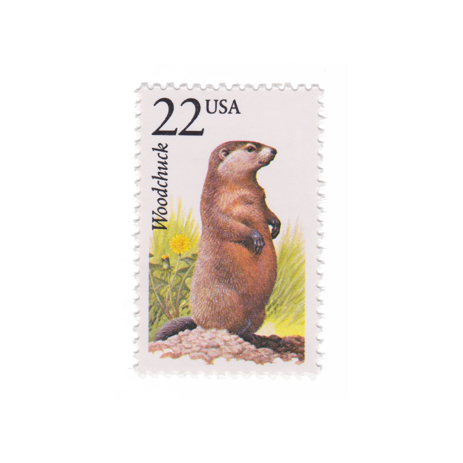 1987 22c Woodchuck