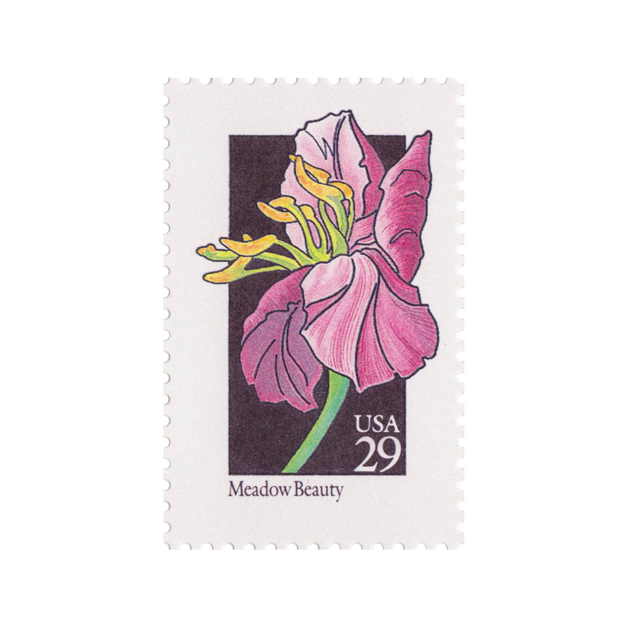 1992 29c Wildflower Series - Meadow Beauty