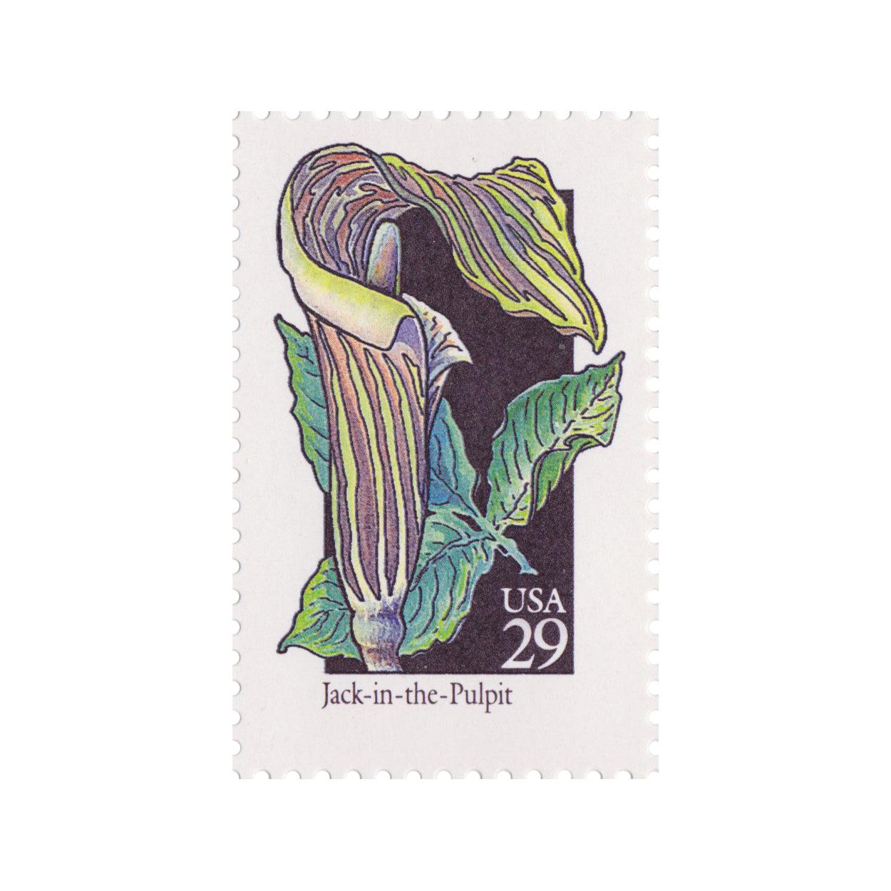 1992 29c Wildflower Series - Jack In The Pulpit