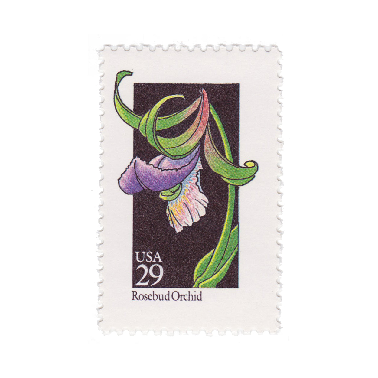 1992 29c Wildflower Series - Rosebud Orchid