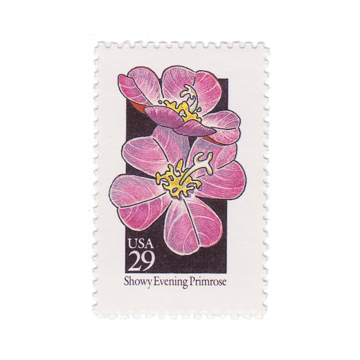 1992 29c Wildflower Series - Showy Evening Primrose