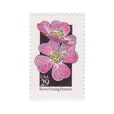 1992 29c Wildflower Series - Showy Evening Primrose
