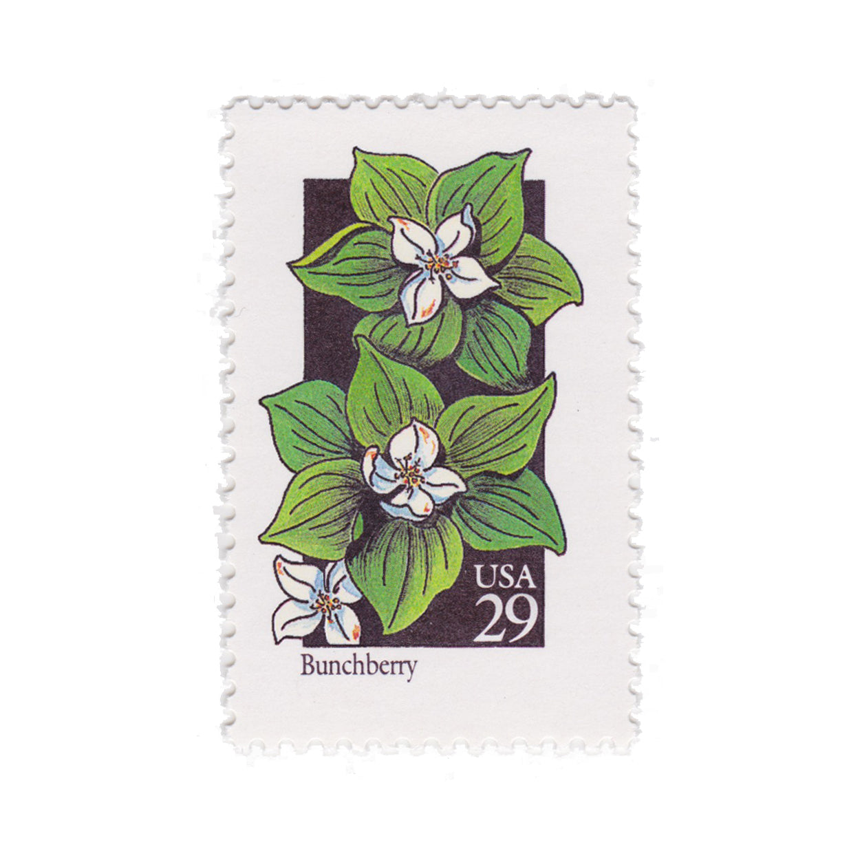 1992 29c Wildflower Series - Bunchberry