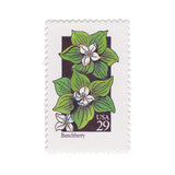1992 29c Wildflower Series - Bunchberry