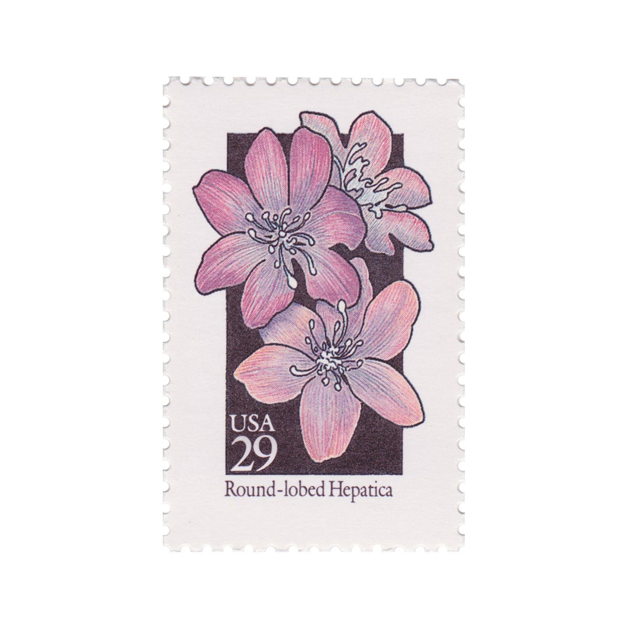 1992 29c Wildflower Series - Round Lobed Hepatica