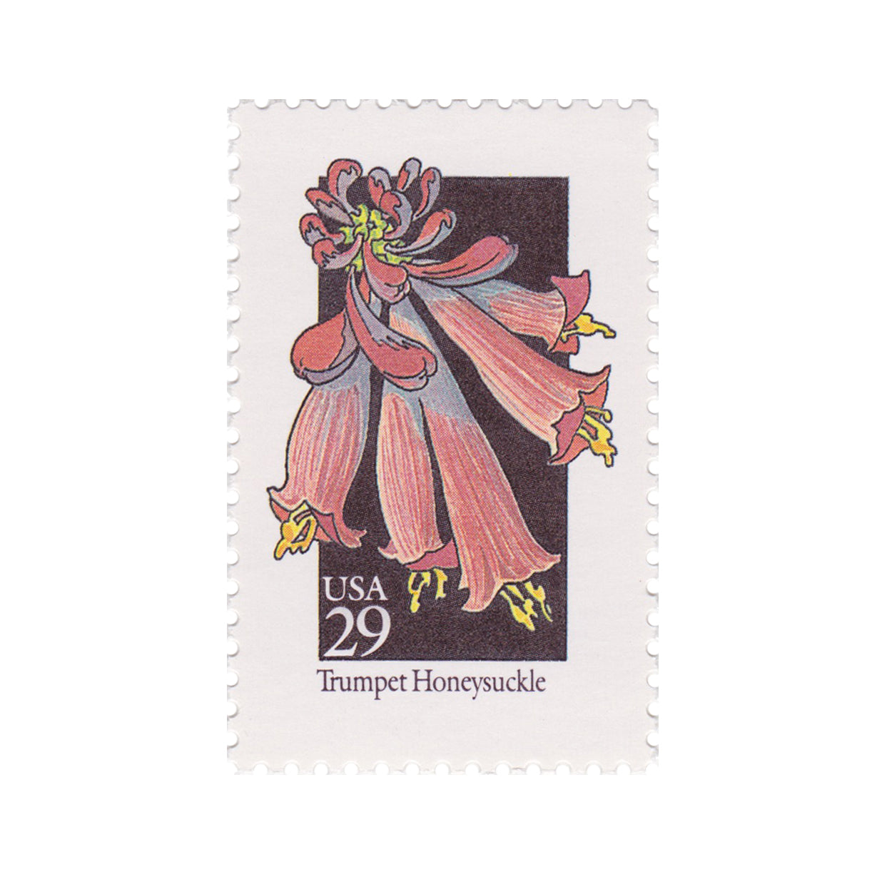 1992 29c Wildflower Series - Trumpet Honeysuckle