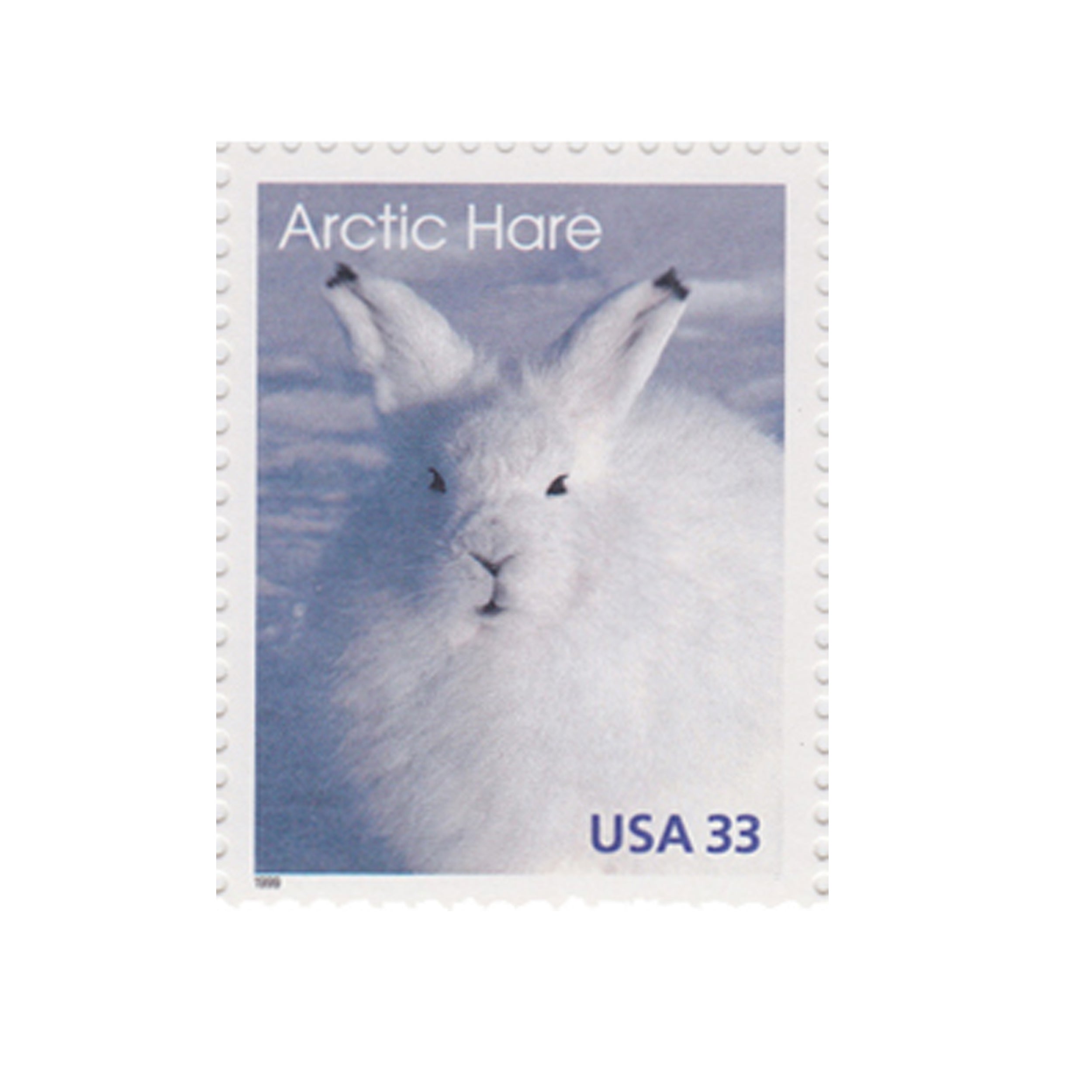 1999 33c Arctic Animals - Hare