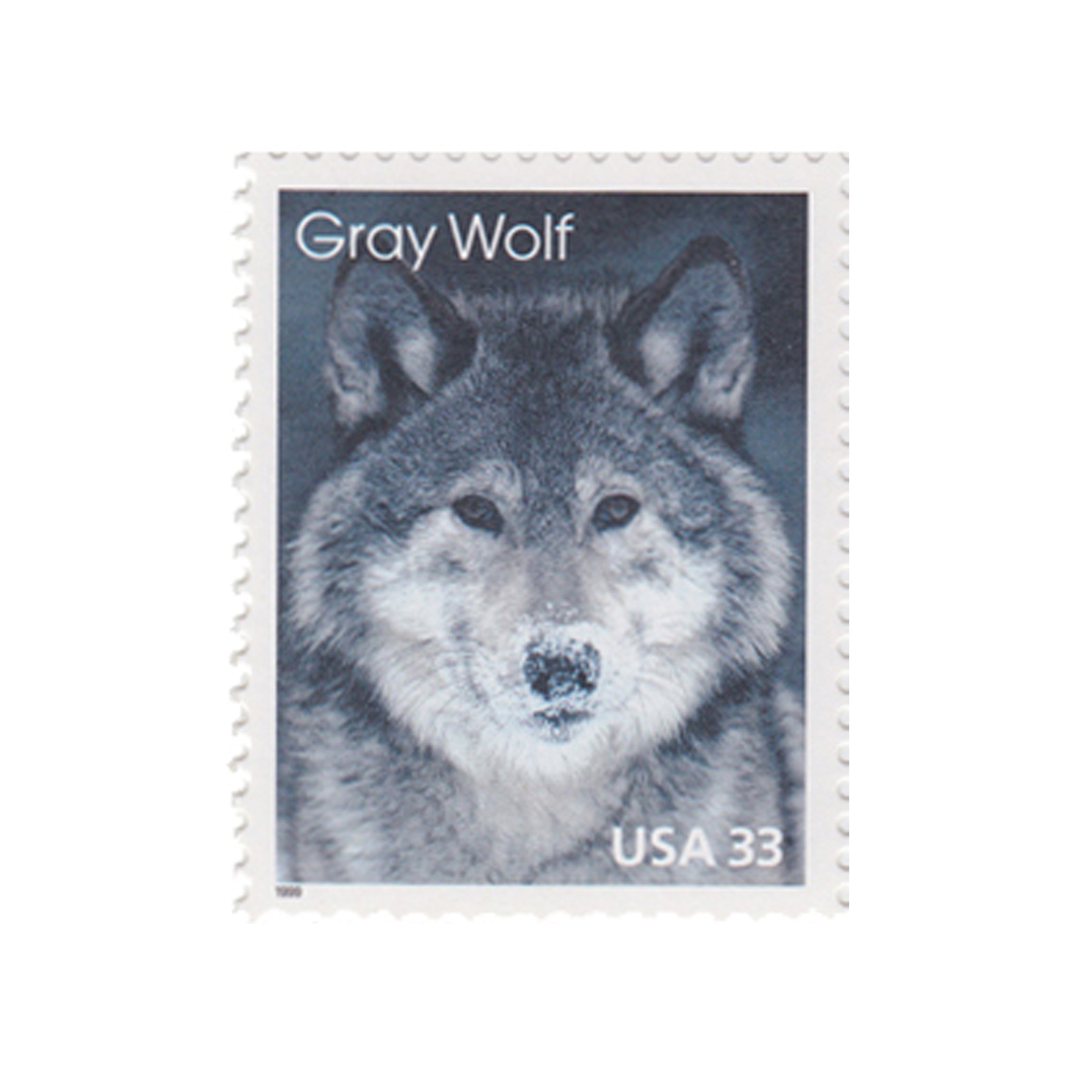 1999 33c Arctic Animals - Gray Wolf